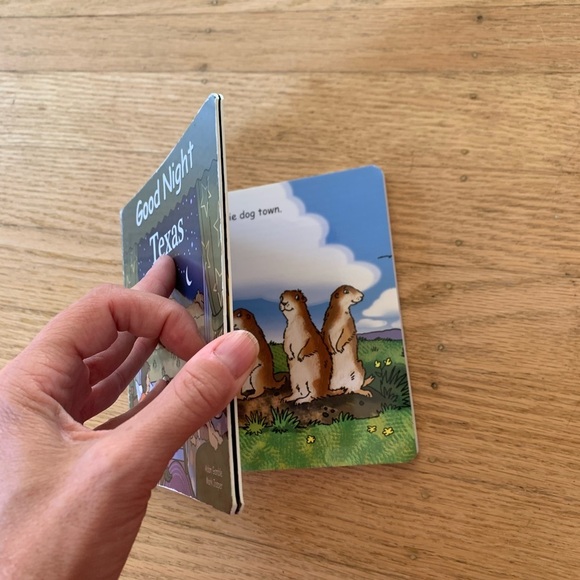 Goodnight Texas board book - Picture 4 of 4